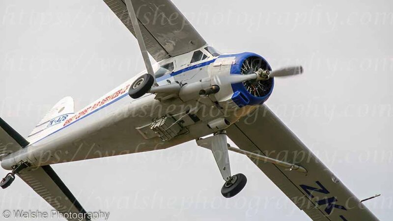 IMG_1628.jpg - de Havilland Canada DHC-2 Beaver Mk.1